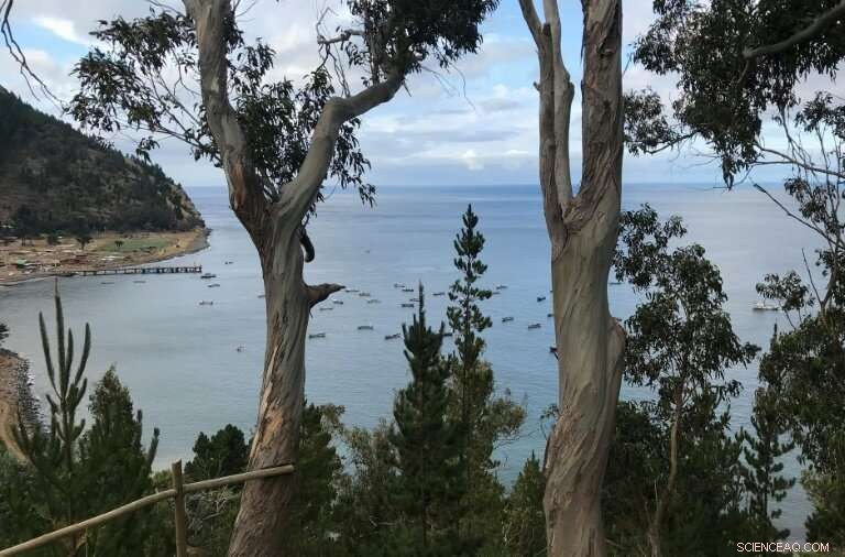 Robinson Crusoe Island Sets New Standard in Conservation