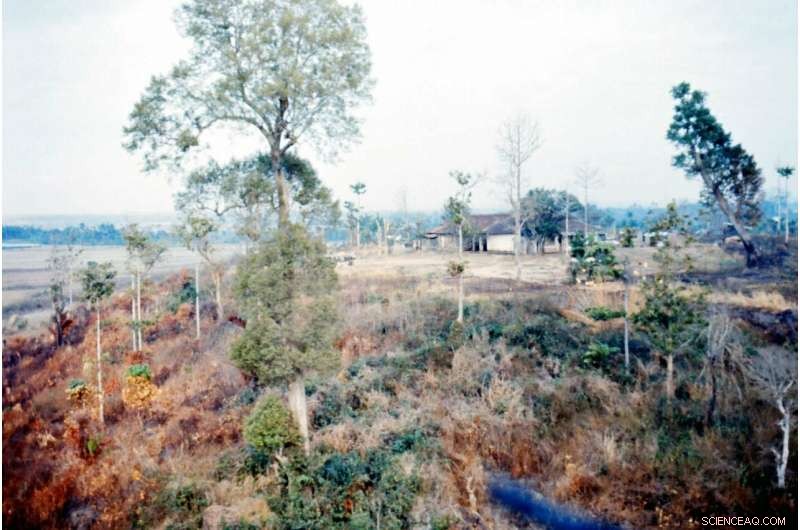 Agent Orange Legacy: Persistent Dioxin Contaminants Continue to Pollute Vietnam’s Environment, Study Finds