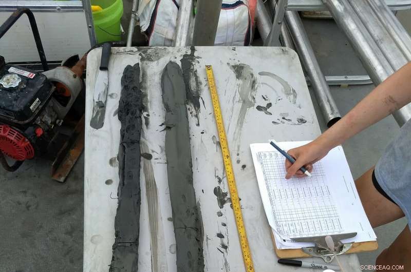 Extracting Submerged Soil Cores: Techniques and Challenges