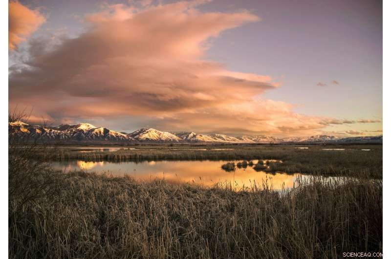 Elevating Hydrology Studies: Proven Approaches to Achieve Gold‑Standard Reproducibility