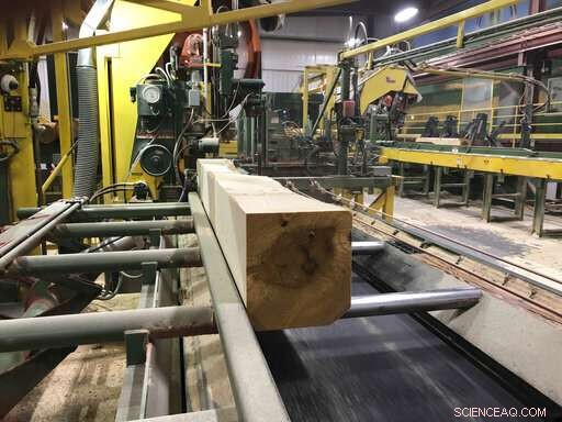 Ash Loggers Act Swiftly to Preserve Timber Before Emerald Ash Borer Destroys Forests