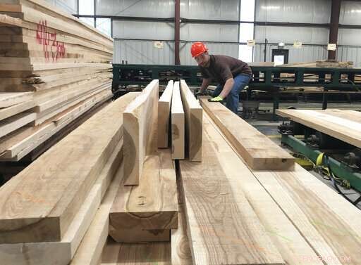 Ash Loggers Act Swiftly to Preserve Timber Before Emerald Ash Borer Destroys Forests