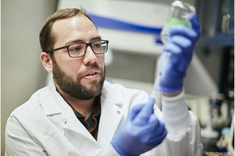 Scientists Uncover Rich Microbial Diversity in Yellowstone s High-Altitude Environments