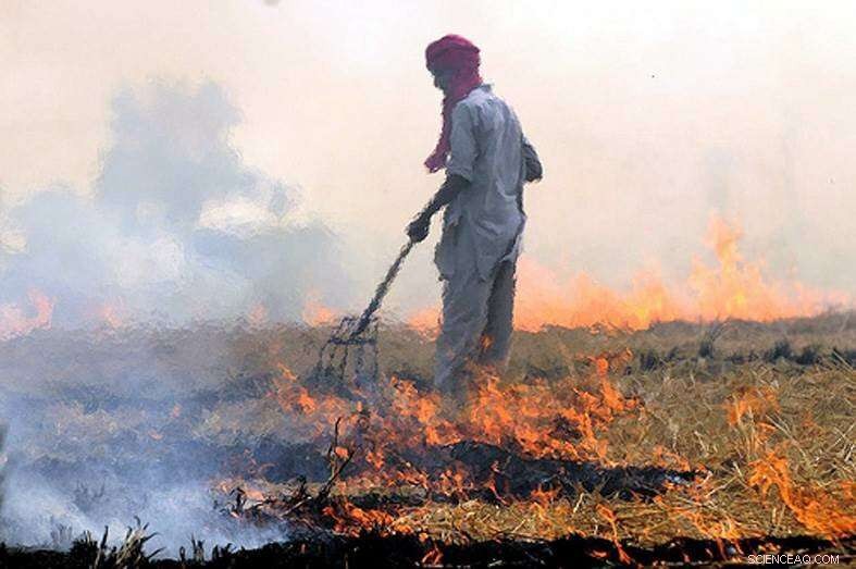 How Crop Residue Burning Fuels South Asia s Air Pollution Crisis