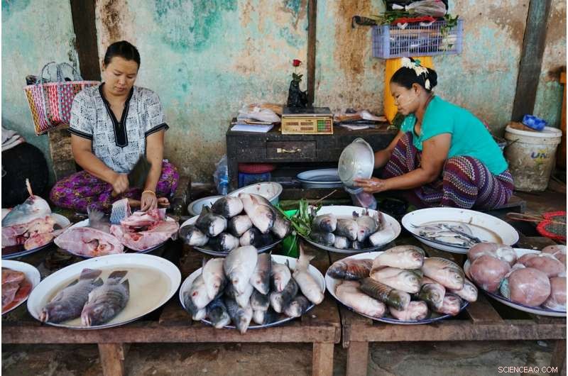 Paris Climate Goal Could Boost Fisheries Revenue by Billions
