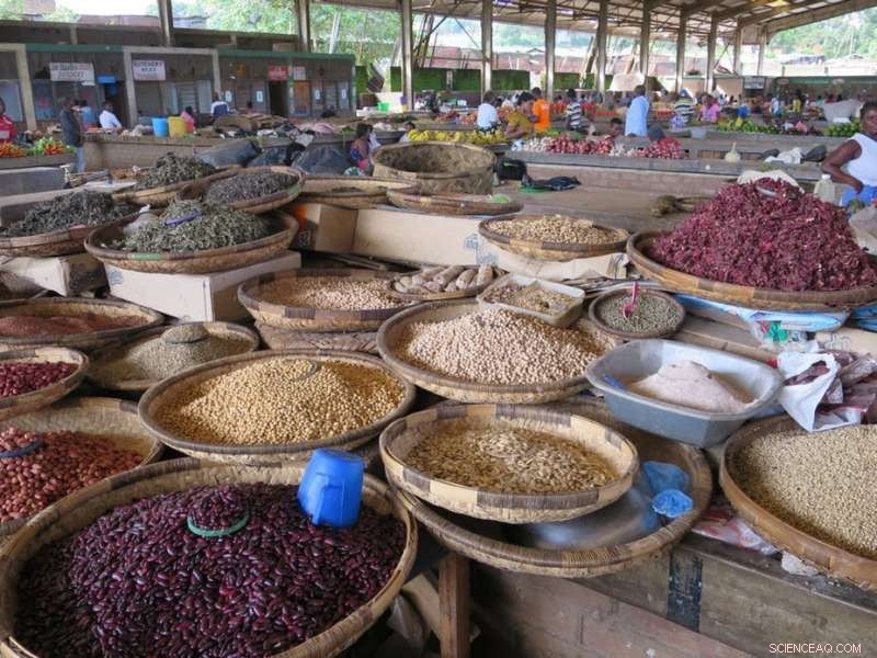 Integrating Food Waste Management with Sanitation Services Empowers African Farmers