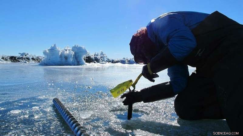 Nighttime Ice Shelves in Antarctica Emit Thousands of Tiny Quakes