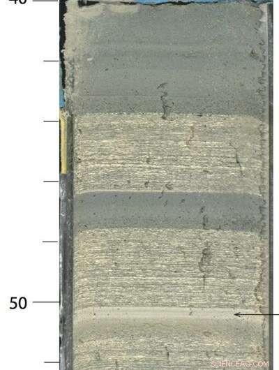 Global Climate Drives Sediment Input and Water Dynamics in a Young Rift Basin