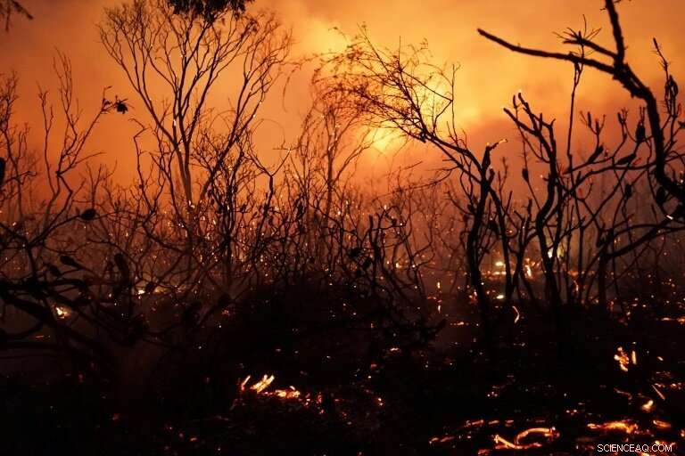 Australia Endures Record-High Summer Temperatures; No Relief in Sight