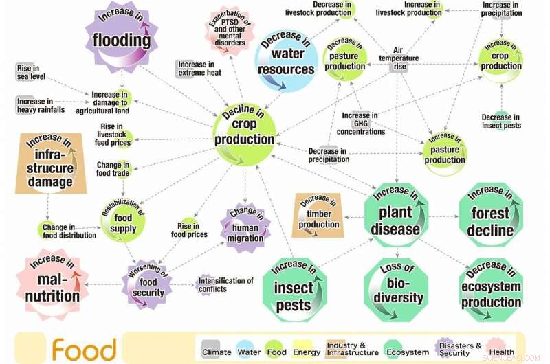 Mapping Climate Risk Interconnections: A Visual Guide to Causal Relationships