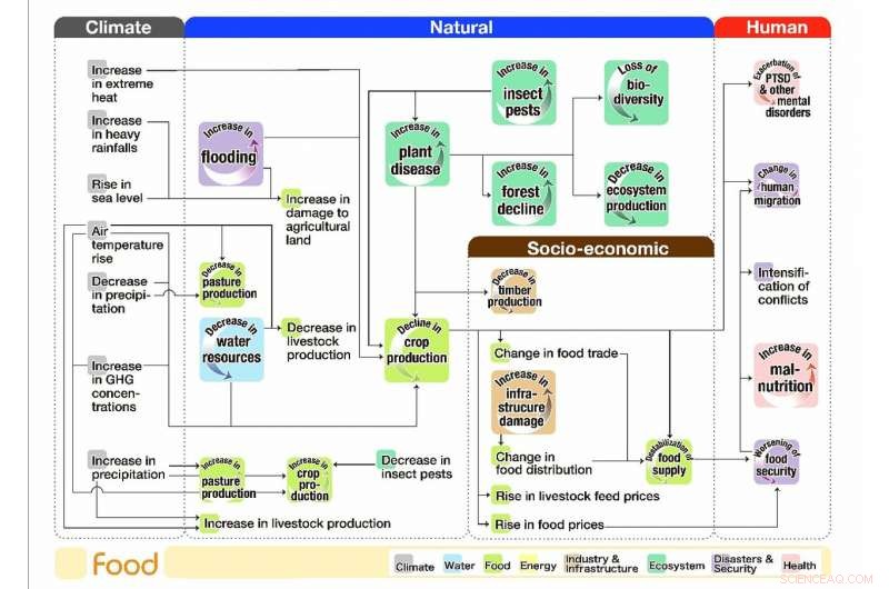 Mapping Climate Risk Interconnections: A Visual Guide to Causal Relationships