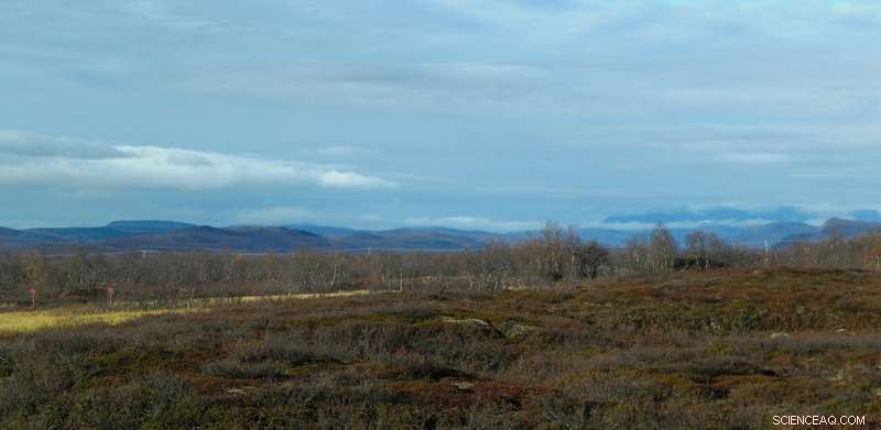 Arctic Study Reveals Thawing Permafrost Peatlands Could Amplify Atmospheric CO₂ Levels