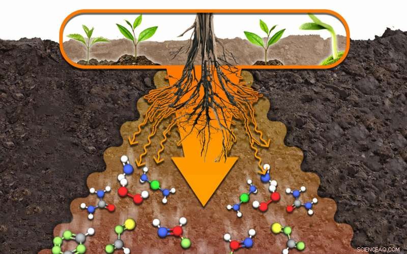 Agrochemist Accelerates Soil Organic Matter Decomposition by 200% with Innovative Carbon Additives