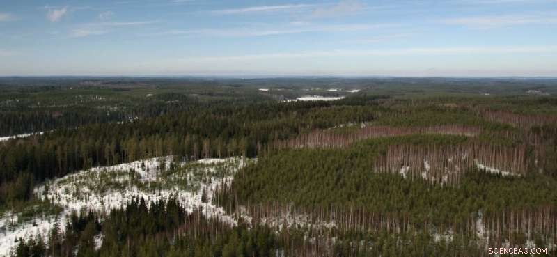 Colorado State University Scientist Uncovers Secrets of Secondary Ice Formation