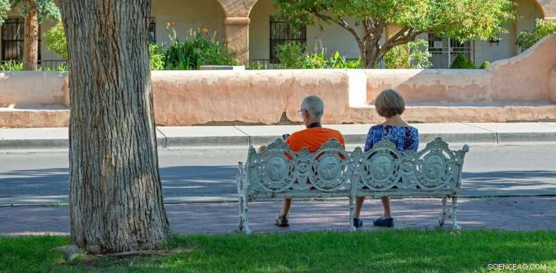 Protecting Elderly Australians from Heatwaves: Greening Cities as a Key Strategy
