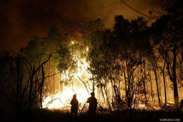 Southern Australia Battles Record-Breaking Bushfires After Unprecedented Summer