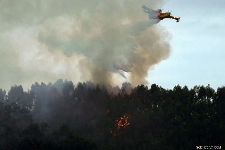 Spanish Firefighters Gain Momentum in Battle Against Wildfires