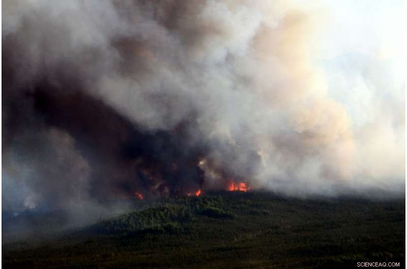 Alaska Scientists Uncover 450-Year Fire History, Revealing Escalating Fire Activity