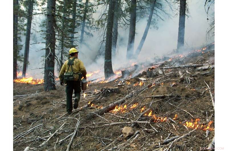 California Wildfire Risk No Longer Tied to Winter Precipitation: New Findings