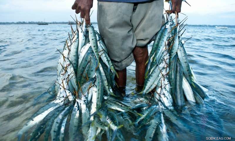 The Blue Economy: Turning Ocean Potential into Sustainable Prosperity