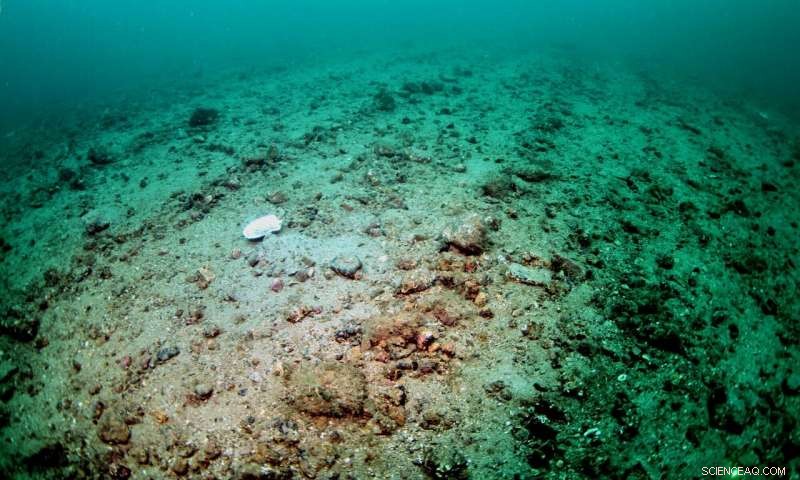 The Blue Economy: Turning Ocean Potential into Sustainable Prosperity