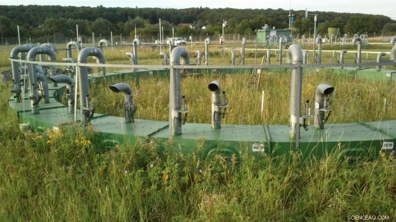 Rain Amplifies Carbon Dioxide s Impact on Grassland Biomass