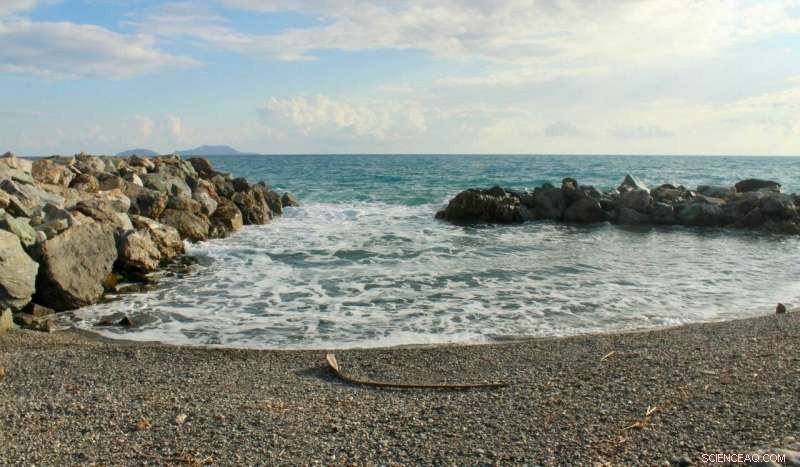 Unlocking Earth s Climate History: Laser Imaging of Shells Reveals Vast Record of Past Fluctuations