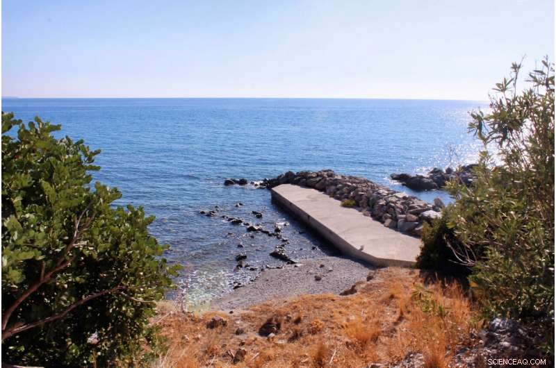 Unlocking Earth s Climate History: Laser Imaging of Shells Reveals Vast Record of Past Fluctuations