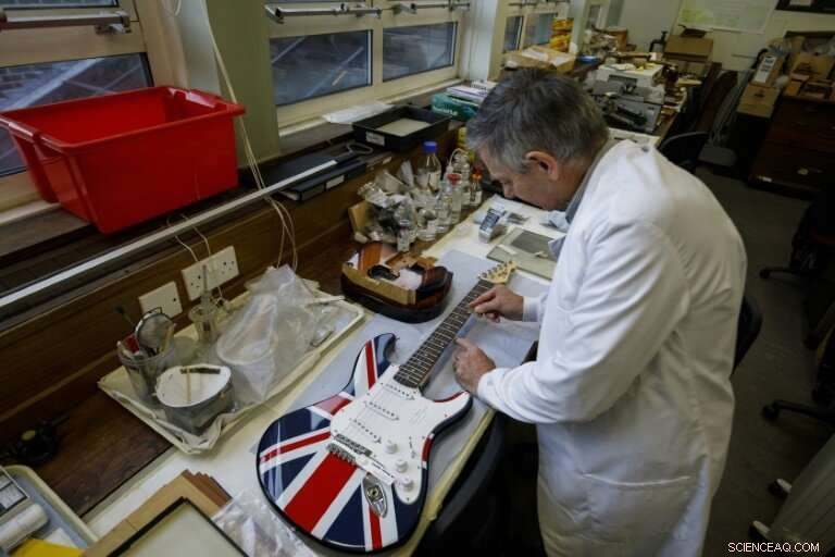 Combating Illegal Logging: Scientific Insights into Origin and Species Identification