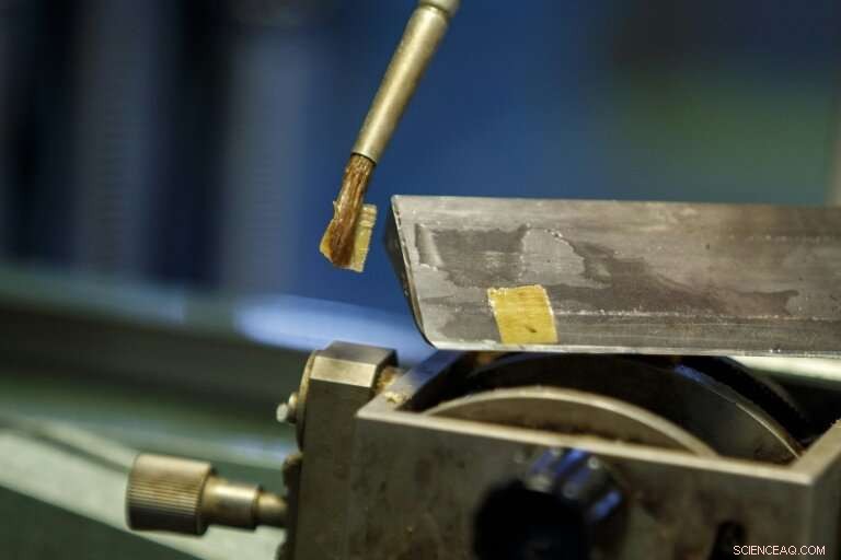 Combating Illegal Logging: Scientific Insights into Origin and Species Identification