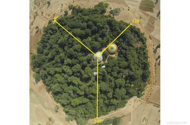 Culturally Sensitive Conservation Strategies Essential for Safeguarding Ethiopia s Church Forests