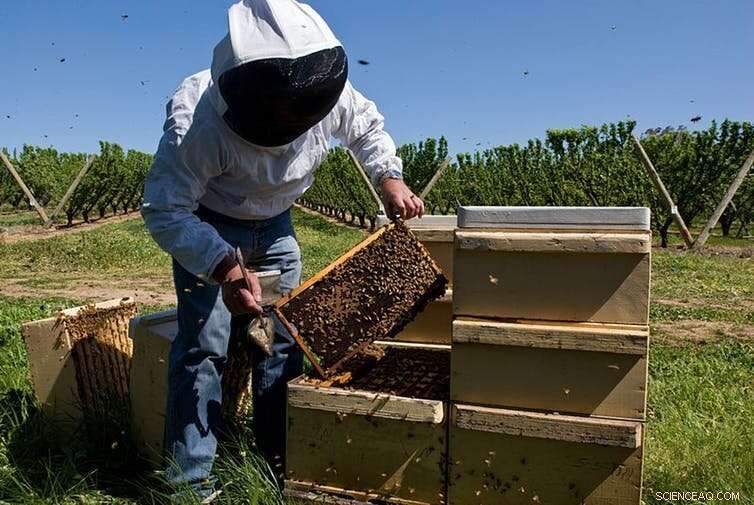 High‑Tech Farming: Are Farmers Being Trapped by Unsustainable Technologies?