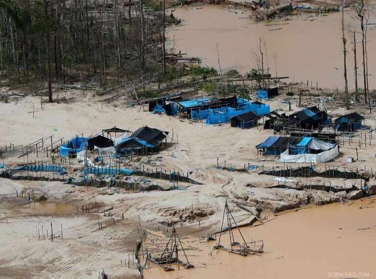 Peru Establishes Military Base to Halt Amazon Deforestation