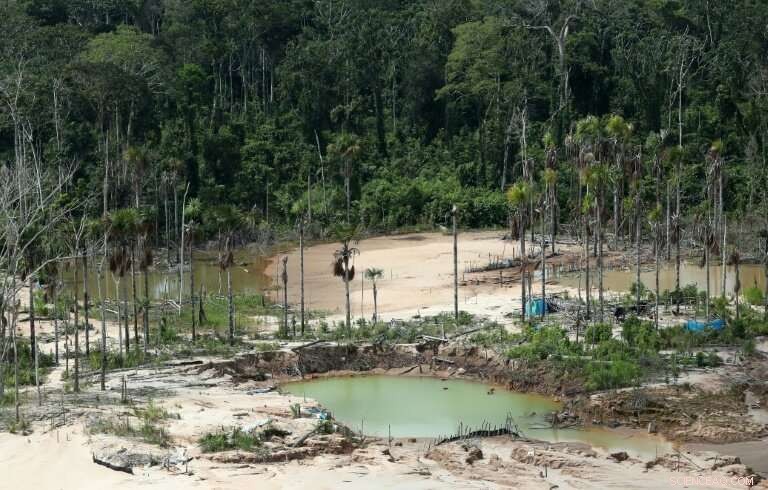 Peru Establishes Military Base to Halt Amazon Deforestation