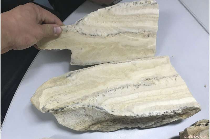 Preserving Geologic and Climate Records from Philippine Caves