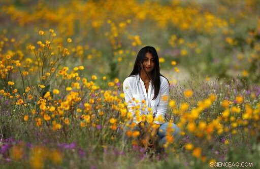 Second California Super Bloom Sparked by Recent Rainfall