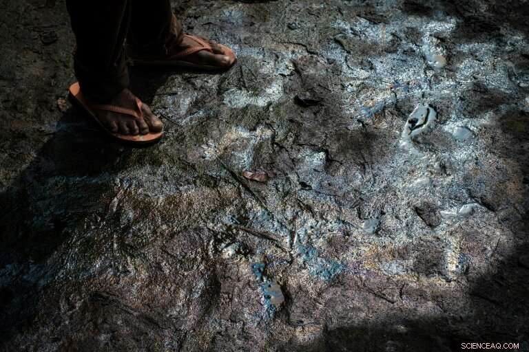 Signs of Hope: Ogoniland’s Cleanup Effort Begins in Nigeria