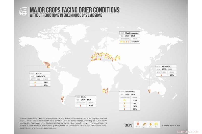 Projected Rainfall Shifts for Key Crops Persist Despite Lowered Greenhouse Gas Emissions