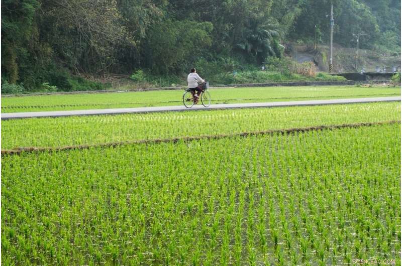 Rural Populations Face Higher Mortality Risk from Extreme Temperatures