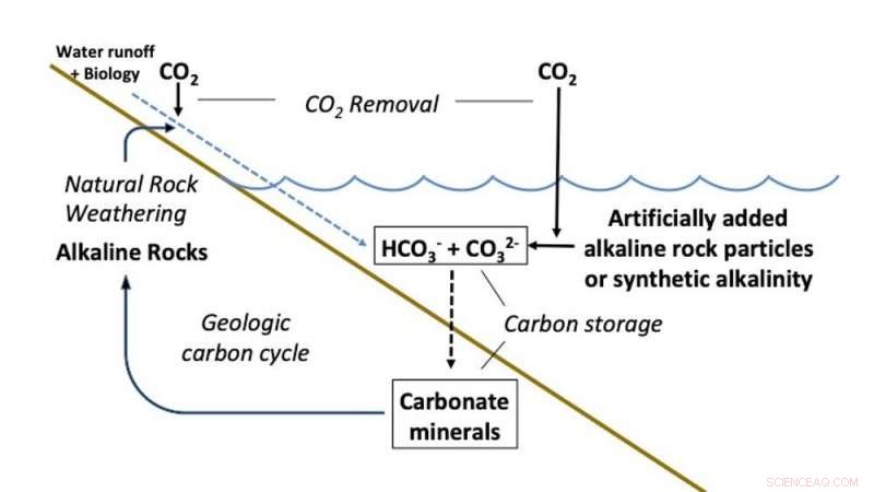 Can Adjusting Marine Chemistry Help Combat Climate Change?