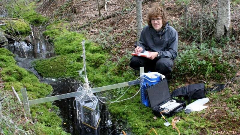 How Smart Forest Buffer Strips Along Streams Can Combat Climate Change