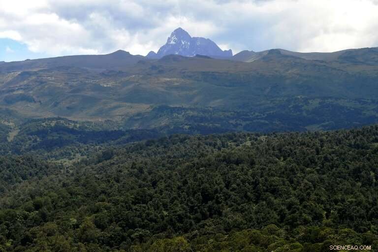 Billions Invested to Stop Africa’s Rapid Forest Decline