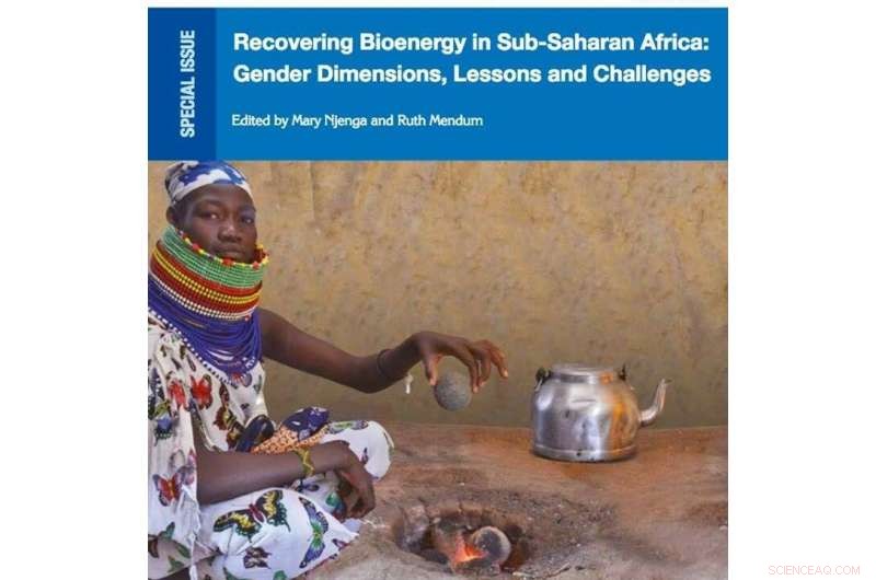 Exploring Gender Dynamics in Sub‑Saharan Africa’s Cooking Energy Landscape