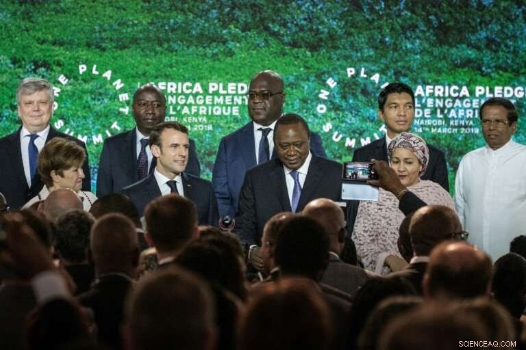 Billions Invested to Stop Africa’s Rapid Forest Decline
