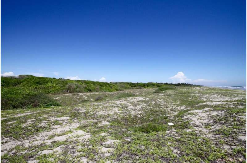 Upriver Hydroelectric Dams Threaten Coastal Ecosystems