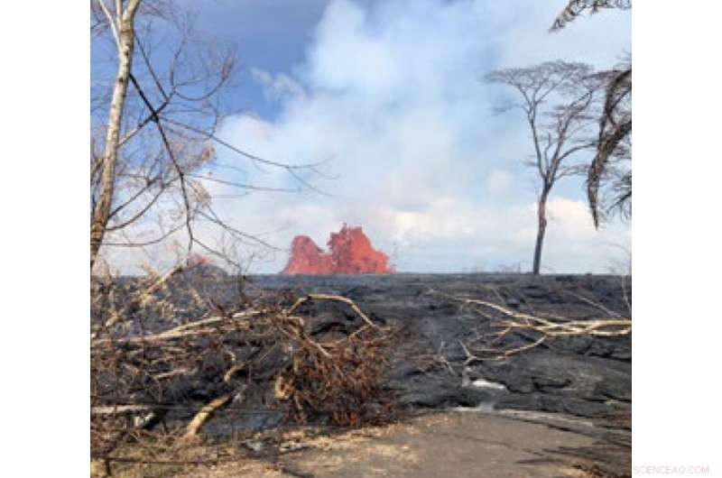 Kilauea Under Watch: Scientists Monitor Rising Volcano Activity