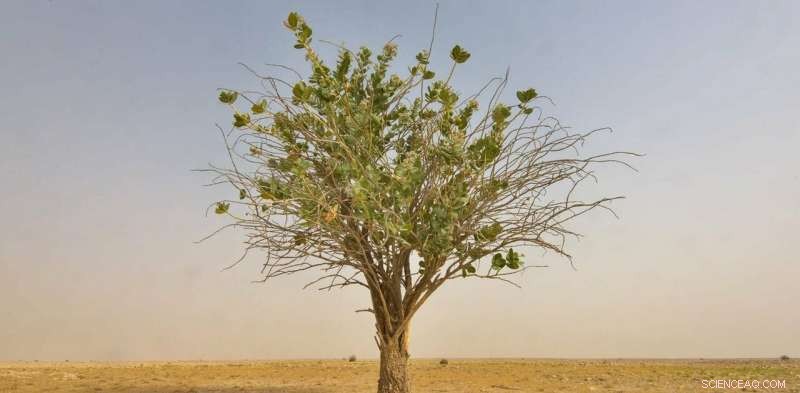 How to Stay Optimistic When the Environment Feels Crumbling