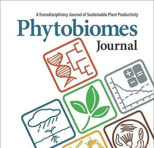 Overuse of Phosphate Fertilizers Impairs Microbial Functions Essential for Crop Health