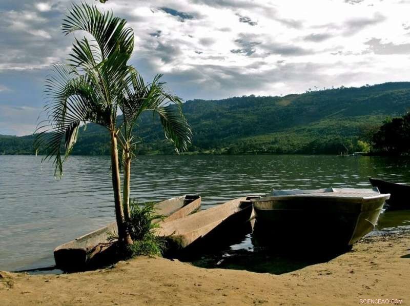 Millennial-Scale Effects of Human Disturbance on Tropical Forests Revealed