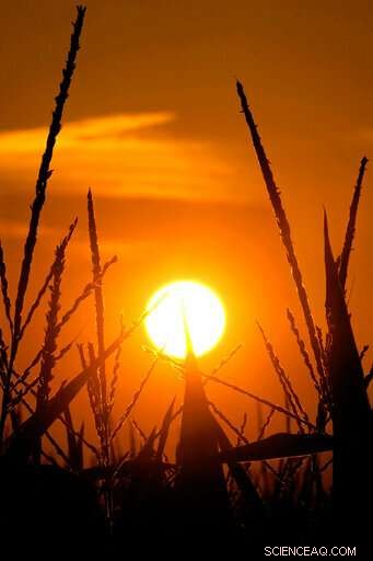 AP Finds Heat Records Declining Twice as Quickly as Cold Records